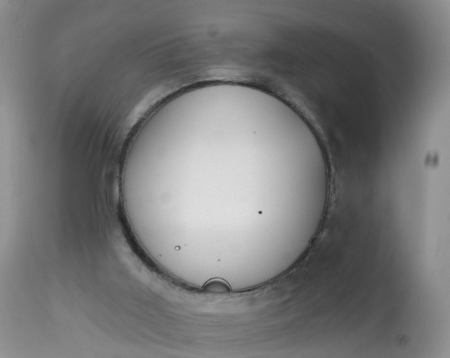 X0000113100011200909111103