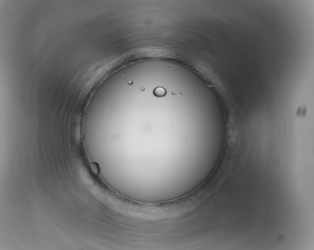 X0000113100014200909111103