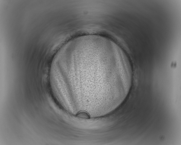 X0000113100018200909111103