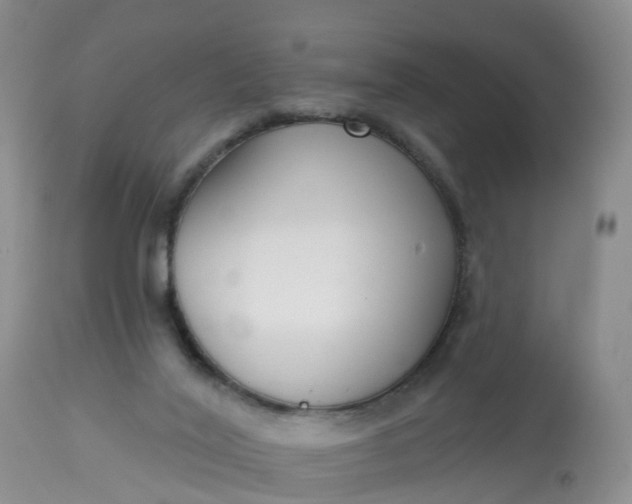 X0000113100020200909111103