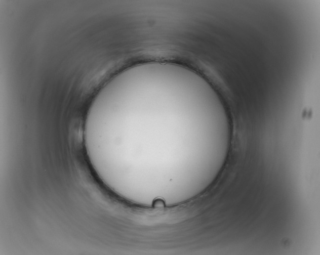 X0000113100021200909111103