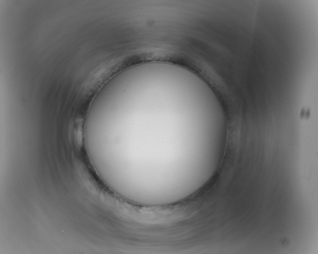 X0000113100022200909111103