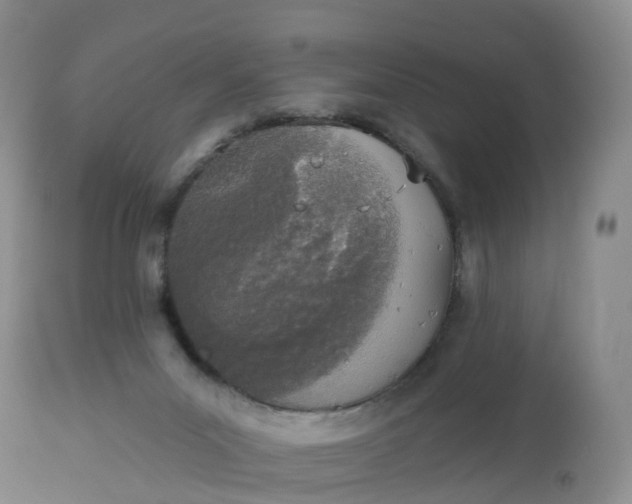 X0000113100023200909111103