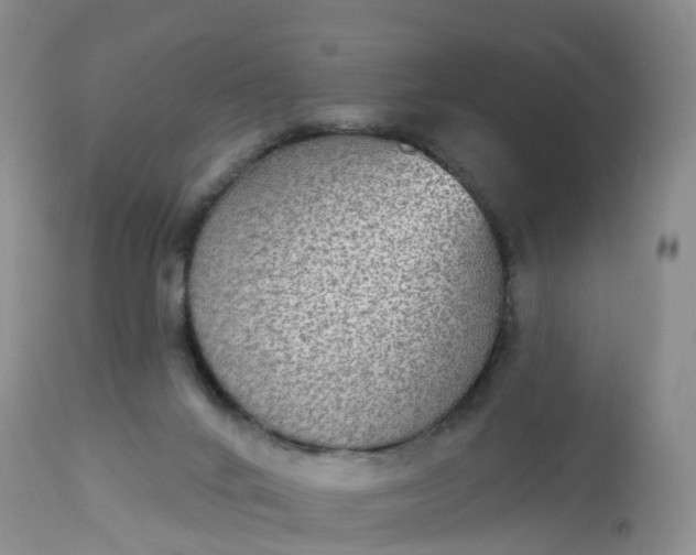 X0000113100024200909111103