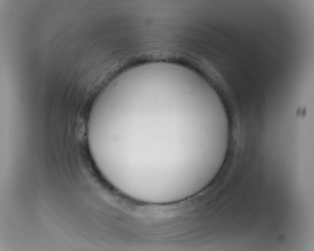 X0000113100025200909111103
