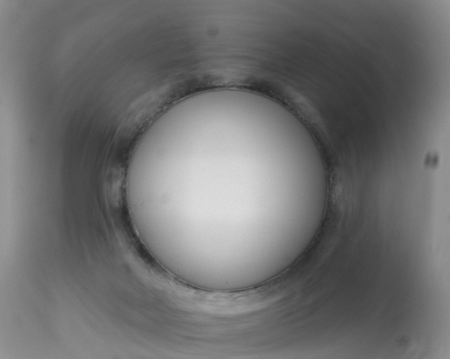 X0000113100026200909111102