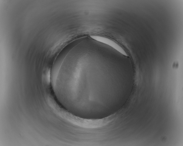 X0000113100027200909111102