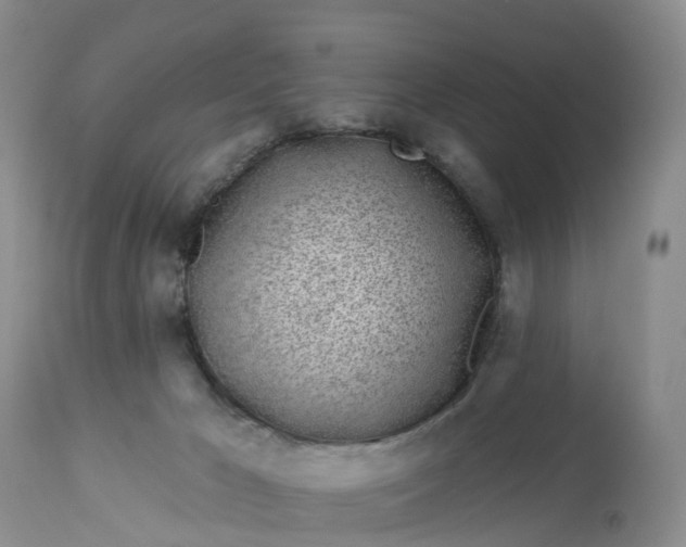 X0000113100029200909111102