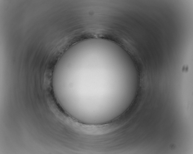 X0000113100030200909111102