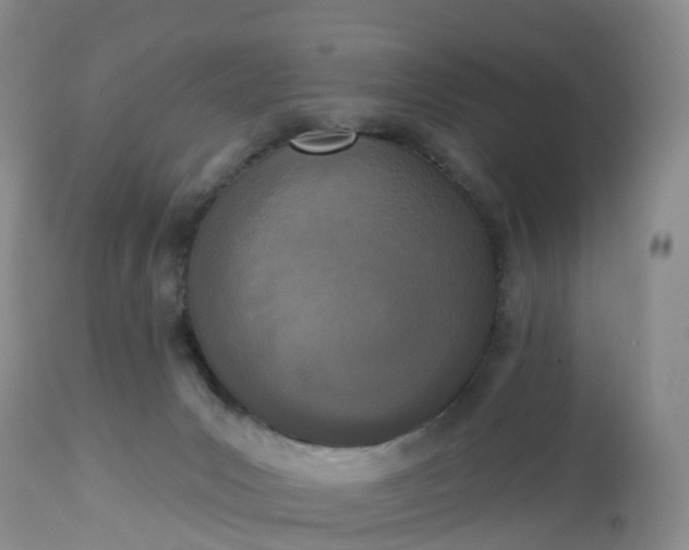 X0000113100031200909111102