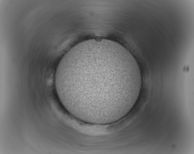 X0000113100032200909111102