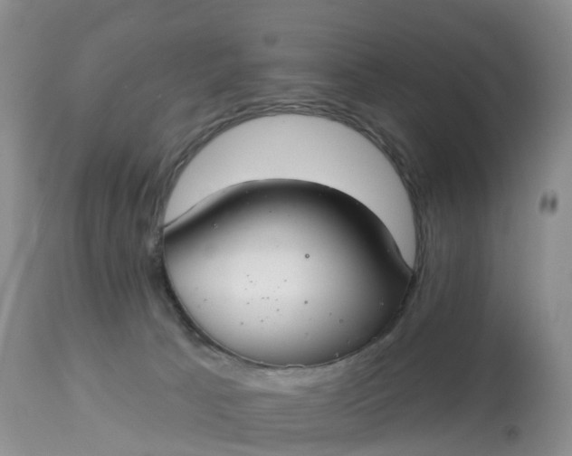 X0000113100033200909111102