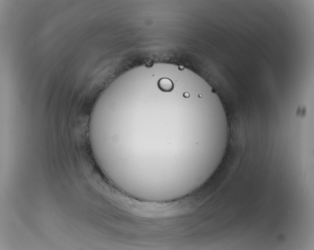 X0000113100034200909111102
