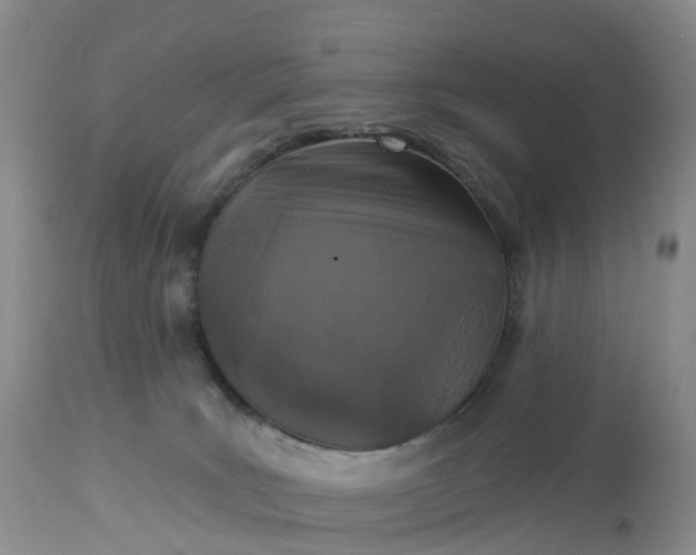 X0000113100035200909111102