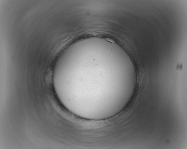 X0000113100036200909111102