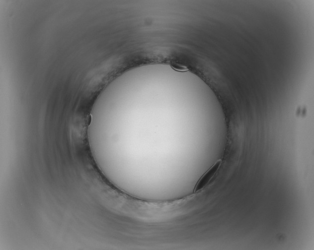 X0000113100037200909111102