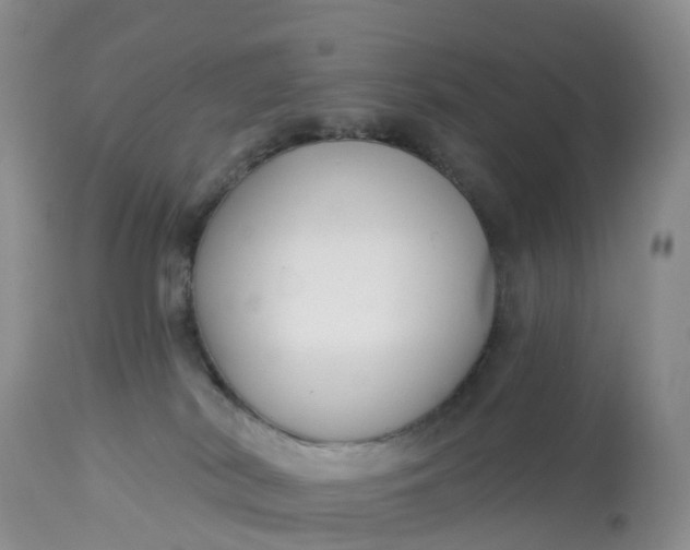 X0000113100038200909111102