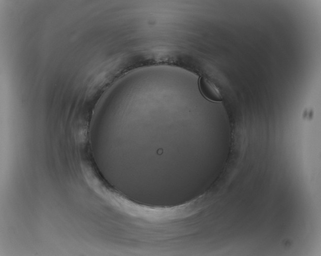 X0000113100039200909111102