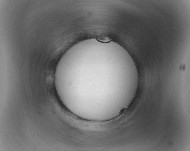 X0000113100040200909111102
