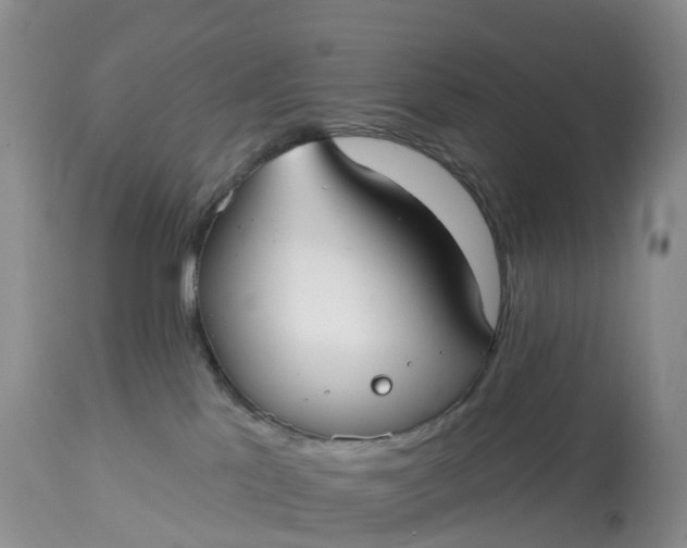 X0000113100041200909111102