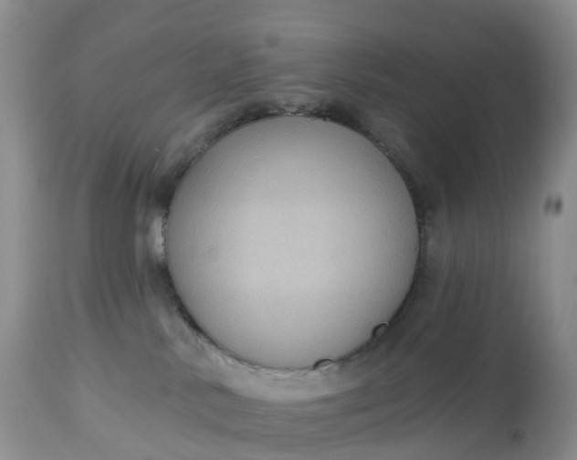 X0000113100042200909111102