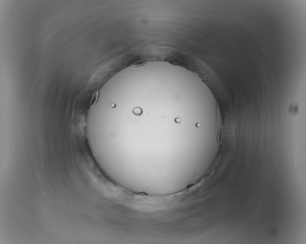 X0000113100045200909111102