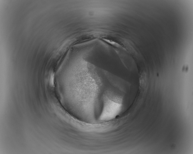 X0000113100046200909111102