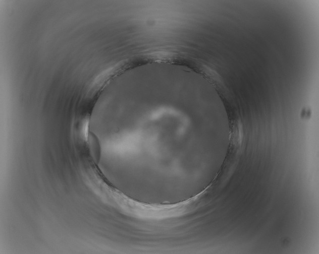 X0000113100047200909111102