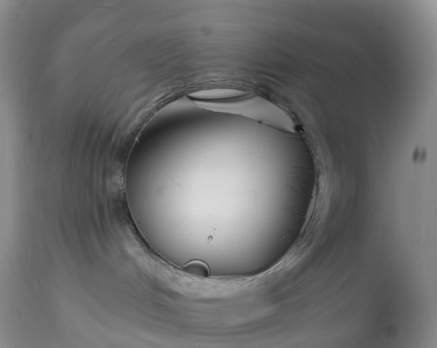 X0000113100048200909111102