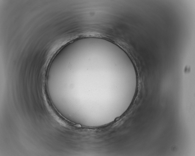 X0000113100049200909111102