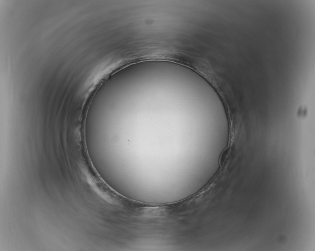 X0000113100050200909111102