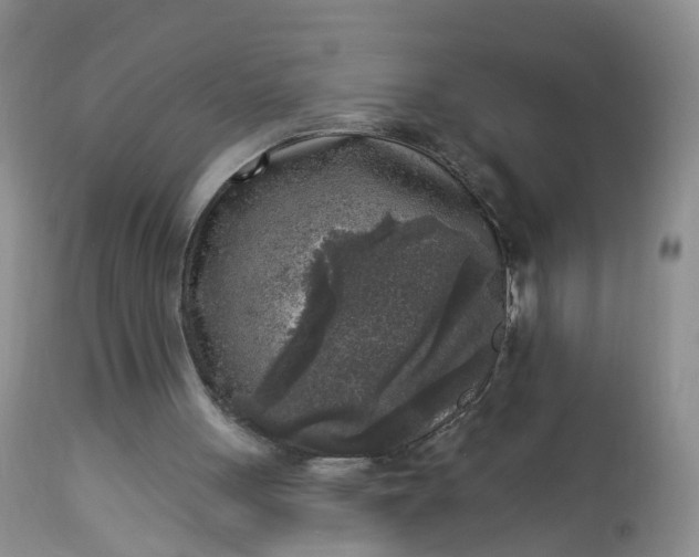 X0000113100051200909111102