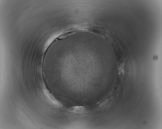 X0000113100052200909111102