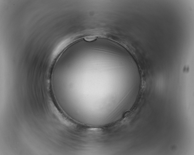 X0000113100053200909111102