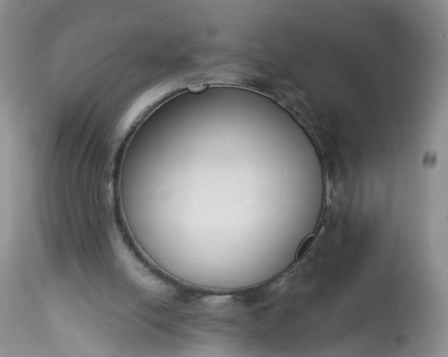 X0000113100054200909111102