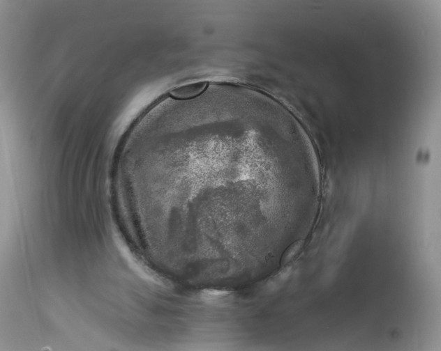 X0000113100055200909111102