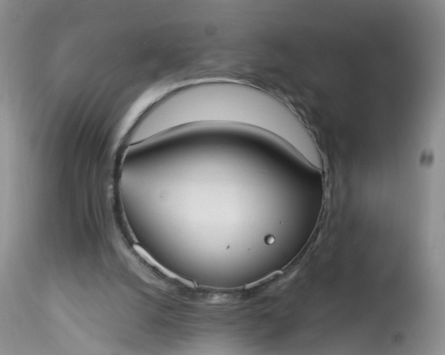 X0000113100056200909111102