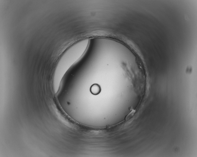 X0000113100057200909111102
