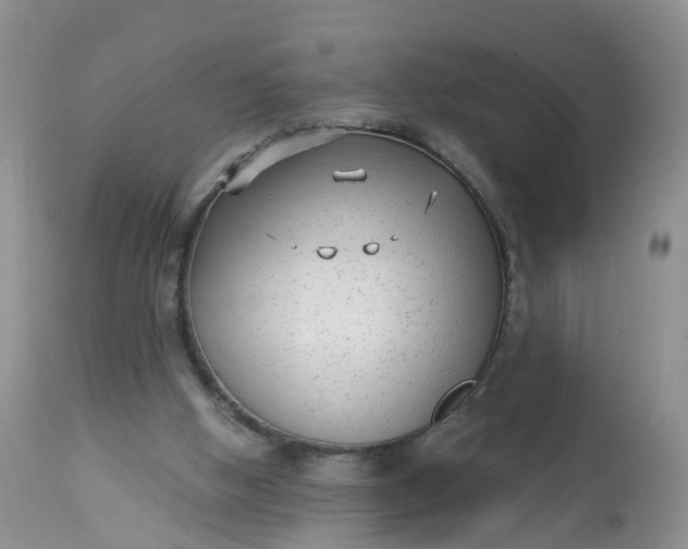 X0000113100058200909111102