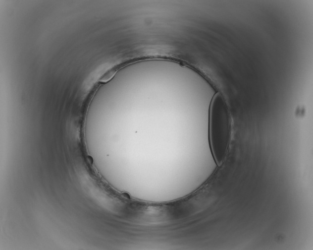 X0000113100060200909111102