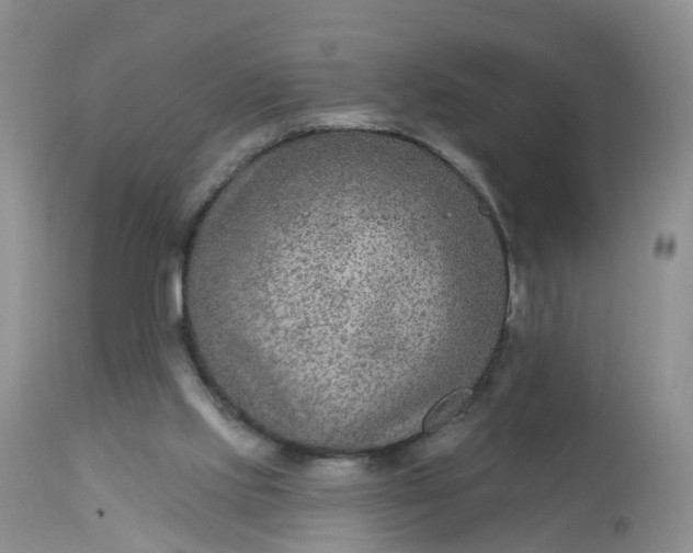 X0000113100061200909111102