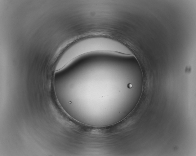 X0000113100064200909111102