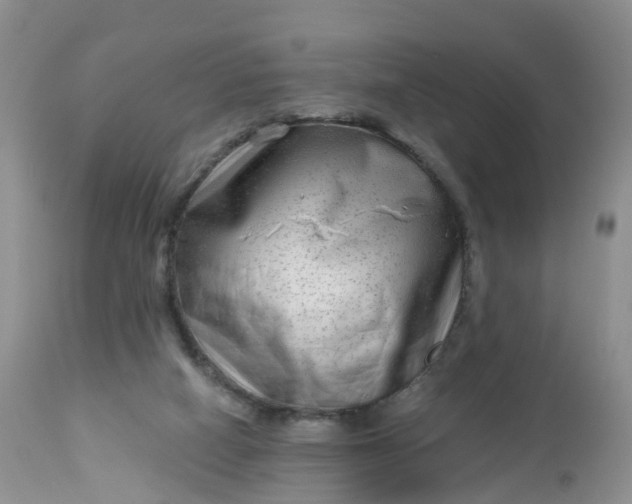 X0000113100066200909111102