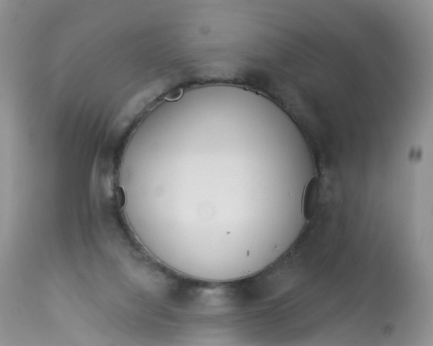 X0000113100068200909111102