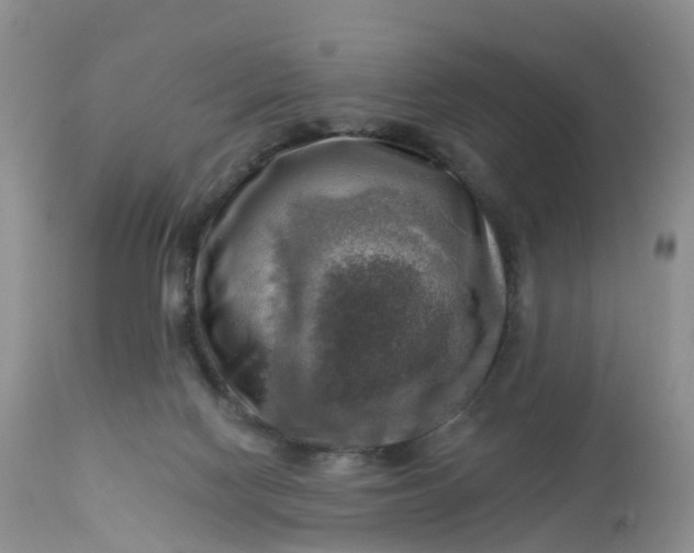 X0000113100074200909111102