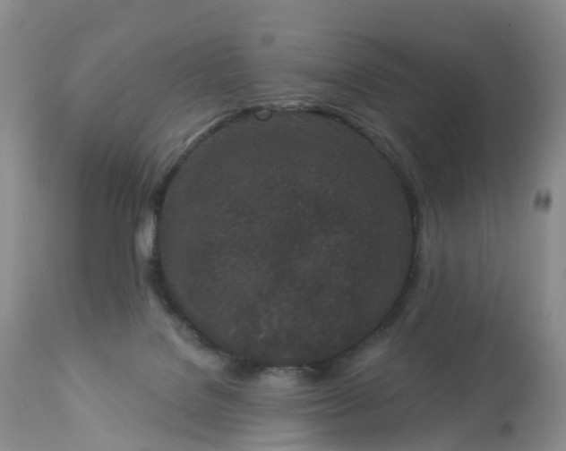 X0000113100076200909111102