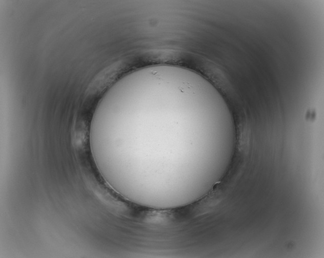 X0000113100077200909111102