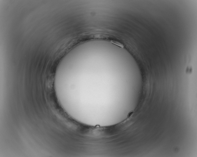 X0000113100078200909111102