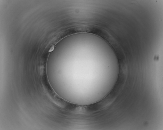 X0000113100080200909111102