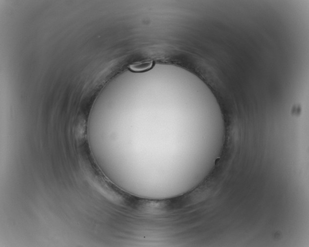X0000113100081200909111102